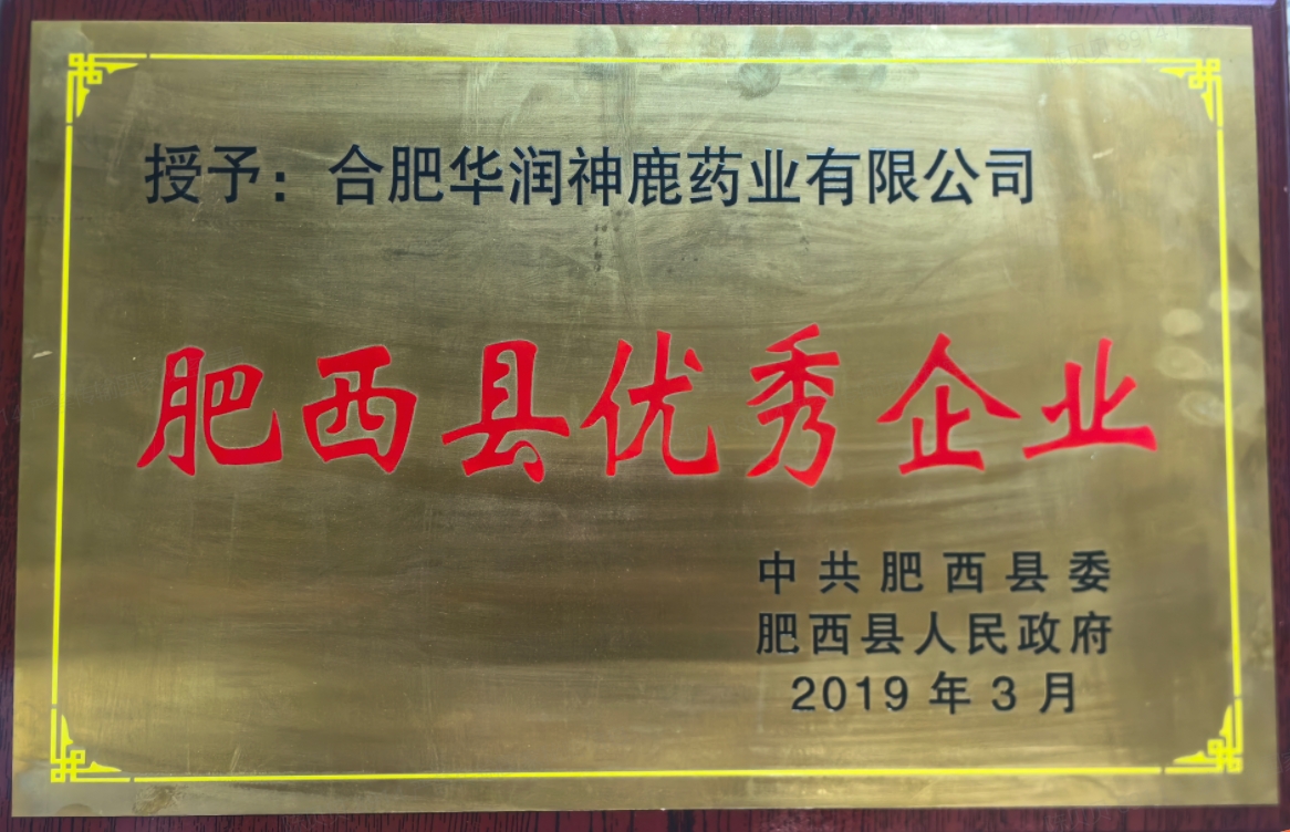 肥西县优秀企业